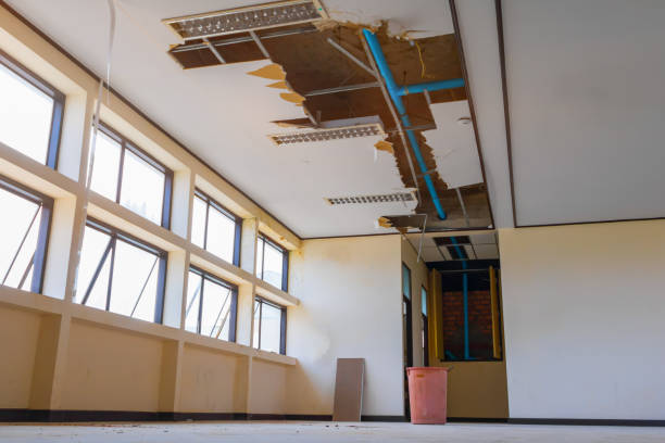 Best Sewage cleanup and water damage restoration  in Clover Creek, WA
