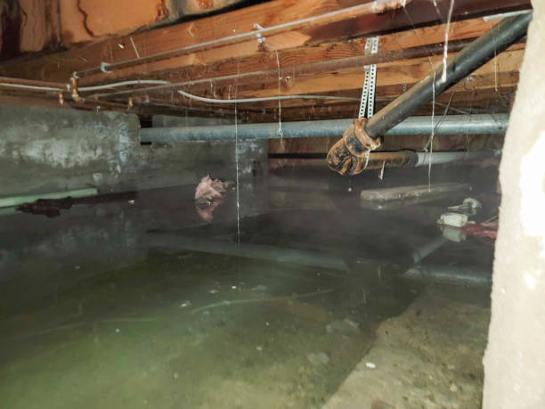 Best Emergency water damage restoration  in Clover Creek, WA