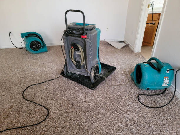 Best Fire Damage Restoration  in Clover Creek, WA