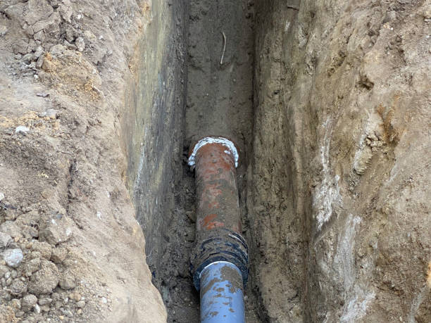 Best Basement water damage restoration  in Clover Creek, WA