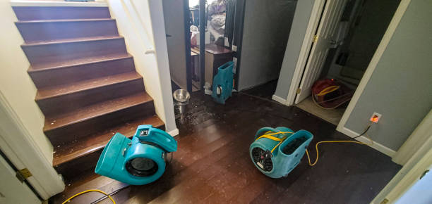 Best Water damage contractors near me  in Clover Creek, WA