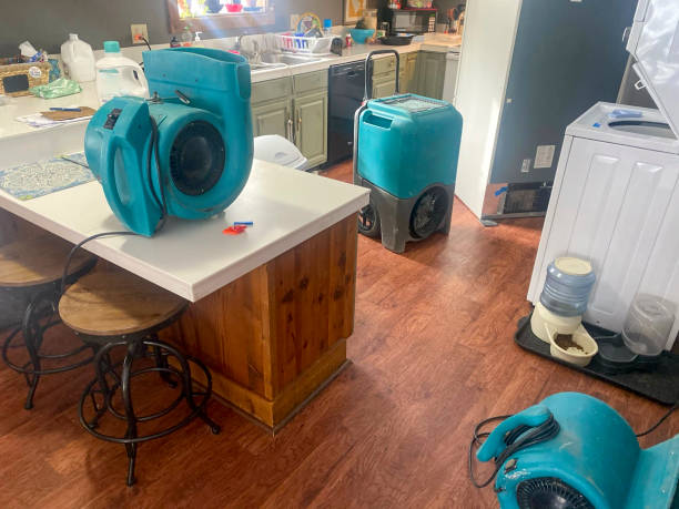 Best Carpet water damage restoration  in Clover Creek, WA