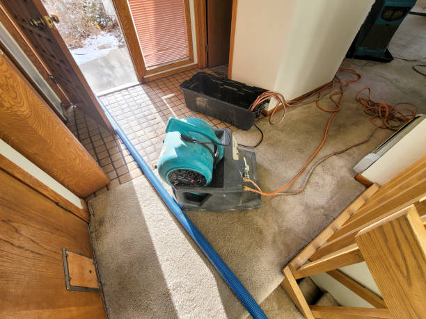 Best Local water damage restoration  in Clover Creek, WA