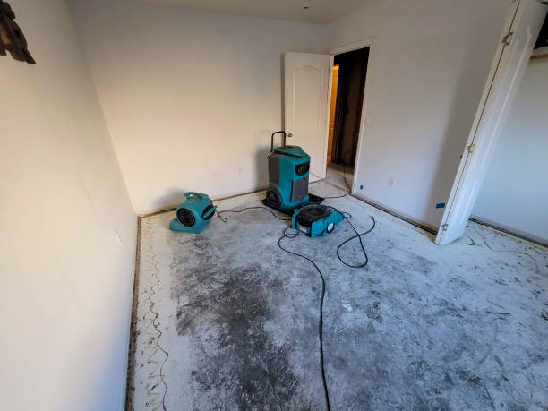 Best Residential water damage restoration  in Clover Creek, WA