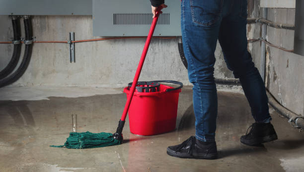 Water damage restoration mold remediation in Clover Creek, WA
