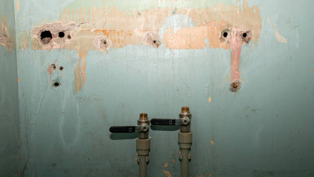 Best Fire Damage Restoration  in Clover Creek, WA