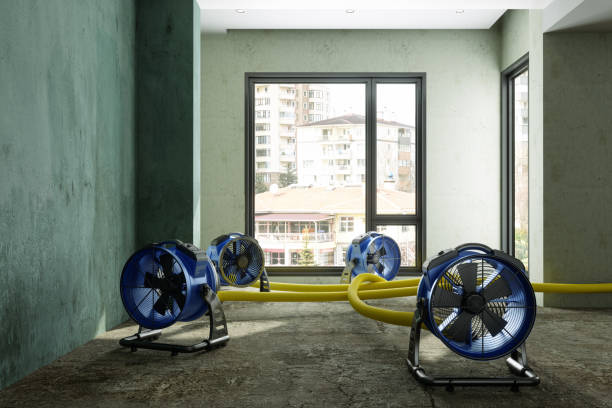 Best 24-hour water damage restoration  in Clover Creek, WA